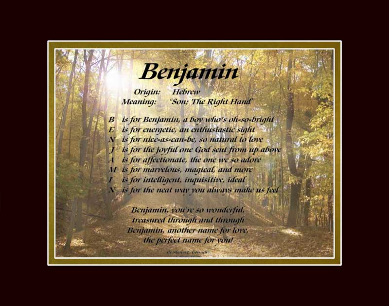 meaning of the name Benjamin