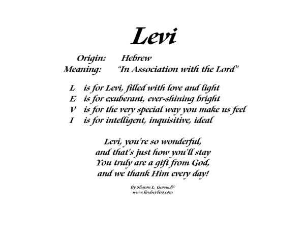 meaning of levi