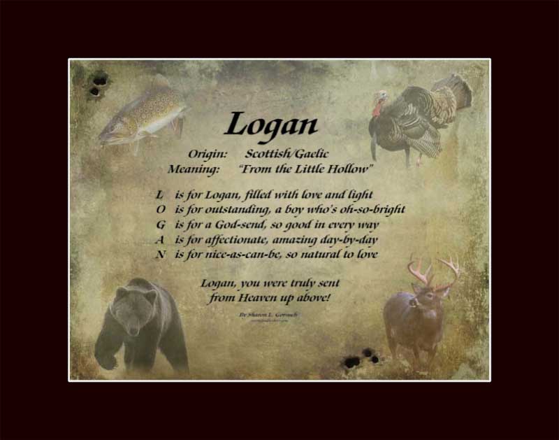 meaning of the name logan